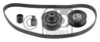 VW 038109119DS1 Timing Belt Kit